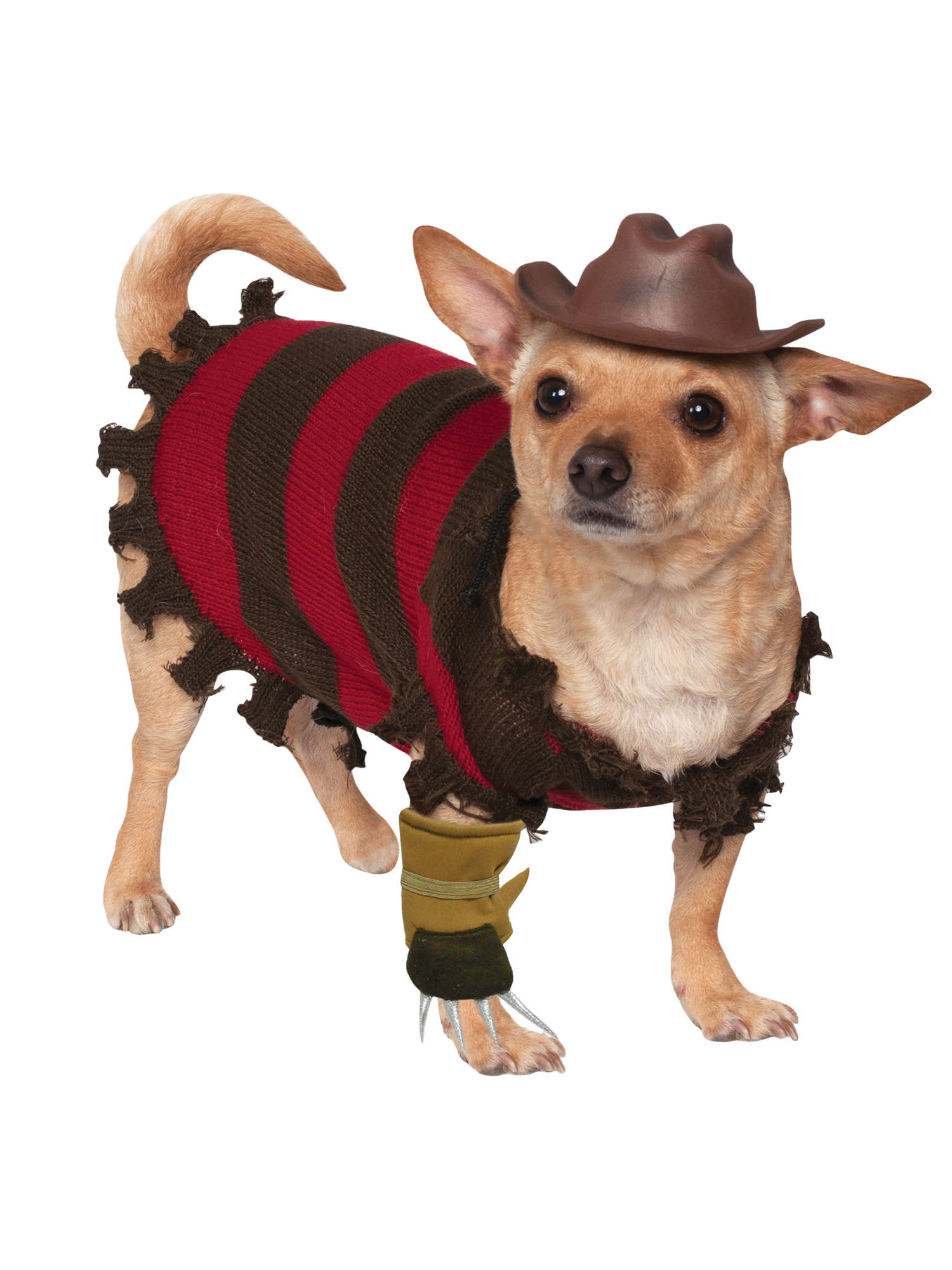 Kostium dla zwierzaka Freddy Krueger
