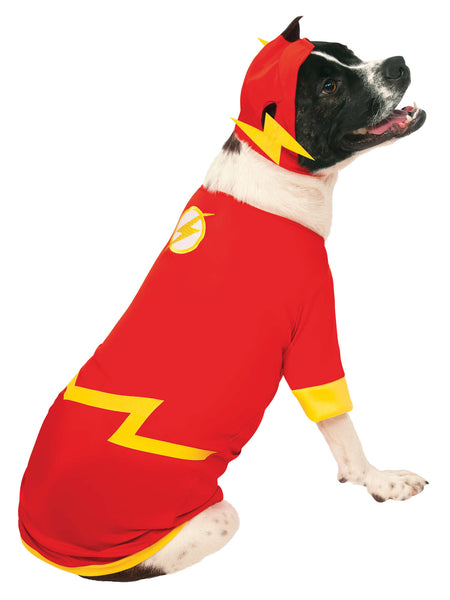 Kostium dla zwierzaka Flash
