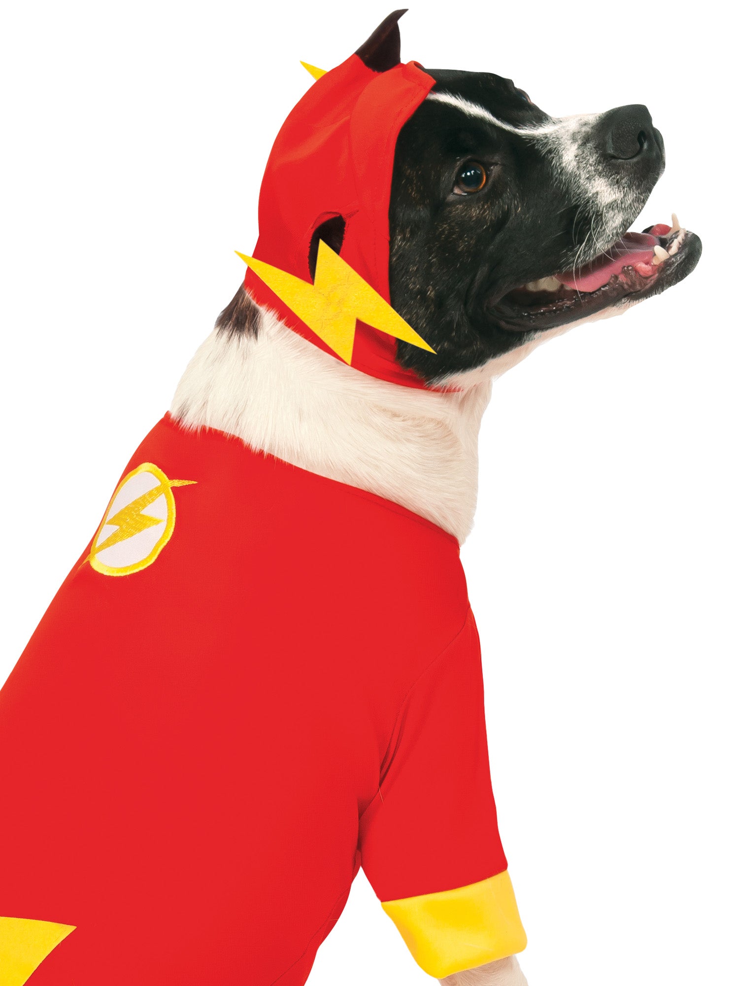 Kostium dla zwierzaka Flash